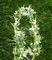 GH363 - 2m Garden Obelisk for Climbing Plants & Decoration