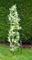 GH363 - 2m Garden Obelisk for Climbing Plants & Decoration