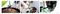 GH393 - Garden Wheeled Flower/Plant Pot Trolley