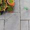 612LN - Garden Hose 9 Dial Telescopic Spray Lance