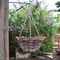 HB14R - 14" Rattan Hanging Flower Basket