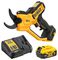 DCMPP568P1-GB - 18V XR 1x 5Ah Li-Ion Cordless 38mm Garden Power Pruner Kit