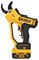 DCMPP568P1-GB - 18V XR 1x 5Ah Li-Ion Cordless 38mm Garden Power Pruner Kit