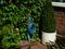 70300941 - 25m Cobra Expanding Garden Hose Pipe