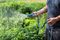 70300941 - 25m Cobra Expanding Garden Hose Pipe