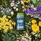 20100535 - Boost All Purpose Multi-Action 6 Month Slow Release Plant Food Granules, 750g