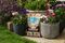 10500050 - New Horizon Organic All Plant Compost, 10L