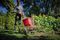 GE-SR 18/22 LI-SOLO - Power X-Change 18V Li-Ion Cordless Multi-Purpose Seed, Fertiliser & Grit Spreader - Bare Unit