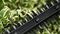 EASYHEDGECUT 18V-44-11 (BARETOOL) - 44cm 15mm Gap 18V Li-Ion Cordless Hedge Trimmer - Bare Unit