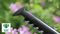 EASYHEDGECUT 60 - 60cm 16mm Gap 450W Electric Hedge Trimmer 230V