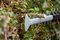 GHE 18V-60 (BARETOOL) - 60cm 23mm Gap 18V Li-Ion Cordless Hedge Trimmer - Bare Unit