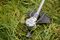 GFR 18V-23 (BARETOOL) - 23cm 18V Li-Ion Cordless Grass Trimmer / Brush Cutter - Bare Unit