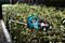 DUH502RT - 50cm 35mm Gap 18V LXT 2x 5Ah Li-Ion Cordless Hedge Trimmer Kit