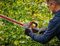 GC-CH 18/50 LI-SOLO - Power X-Change 50cm 17mm Gap 18V Li-Ion Cordless Hedge Trimmer - Bare Unit