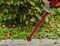 GC-CH 18/50 LI-SOLO - Power X-Change 50cm 17mm Gap 18V Li-Ion Cordless Hedge Trimmer - Bare Unit