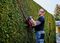 GE-CH 36/65 LI-SOLO - Power X-Change 65cm 30mm Gap Twin 18V / 36V Li-Ion Cordless Hedge Trimmer - Bare Unit