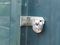 K16070D - 70mm 160 Hardened Steel Disc Padlock