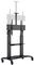 7350073736324 - Portable M Public Dual Pillar Floorstand 180 HD