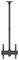 7350073738885 - M Ceiling Mount Pro TV Mount, 24" to 42" Screen, VESA 400