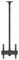 7350073738885 - M Ceiling Mount Pro TV Mount, 24" to 42" Screen, VESA 400