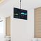 FPCEILPTBSP - Full Motion Adjustable Short Pole TV Ceiling Mount, 32" to 75"