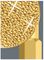 05056400001 - PH1 x 25mm Phillips BiTorsion Diamond Coated Screwdriver Bit - 851/1 BDC PH