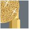 05059532001 - PH2 x 50mm Phillips BiTorsion Diamond Coated Screwdriver Bit - 851/4 BDC PH