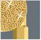 05059534001 - PH3 x 50mm Phillips BiTorsion Diamond Coated Screwdriver Bit - 851/4 BDC PH