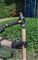 65-908 - 3.6kg (8lb) Gorilla Mini Sledge Hammer