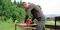 TE-RS 40 E - 125mm 400W Random Orbital Sander 230V