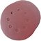VD125120 - 125mm 8 Holes 120 Grit Sanding Discs, 10 Pack