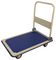 D03454 - Heavy Duty Platform Truck / Trolley, 300kg