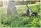 DCMASST1N-XJ - 54V XR FlexVolt Brushless Splitboom String Trimmer Attachment - Bare Unit