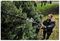 DCMASPH6N-XJ - 54V XR FlexVolt Brushless Splitboom Pole Hedge Attachment - Bare Unit