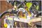 DCS573NT-XJ - 190mm 18V XR Li-Ion Cordless Circular Saw with FlexVolt Advantage - Bare Unit