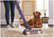 BHFEV182CP-GB - 0.65L 18V 2Ah Cordless 4in1 POWERSERIES Extreme™ Pet Vacuum Cleaner