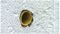 SRSQS28 - 28mm Quick Sleeves for Quick Drill Bits, 4 Pack