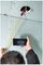 T5600 - MightyScope Wireless Inspection Camera, IP67