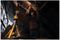 DCL079-XJ - 18V XR Li-Ion Cordless LED Tripod Work Light - Bare Unit