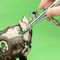 SP25K - Dual-Action Airbrush Kit