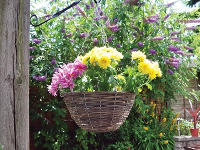 Plant Pots and Propagators