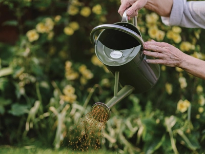 Lawn Care