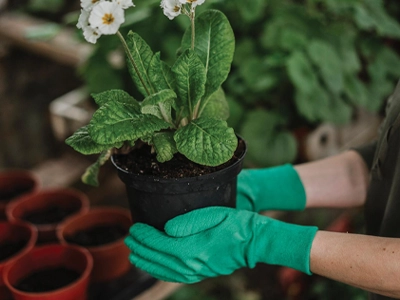 Work Gloves