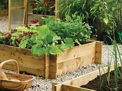 Plant Protection and Supports