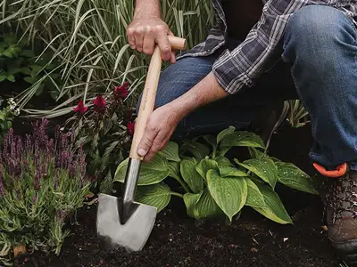 Garden Spades