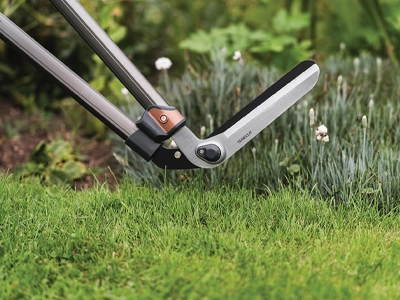 Cutting and Pruning