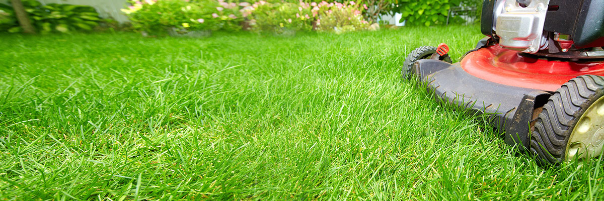 Gardening And Outdoor Power Great Deals For Garden Tools Cpc