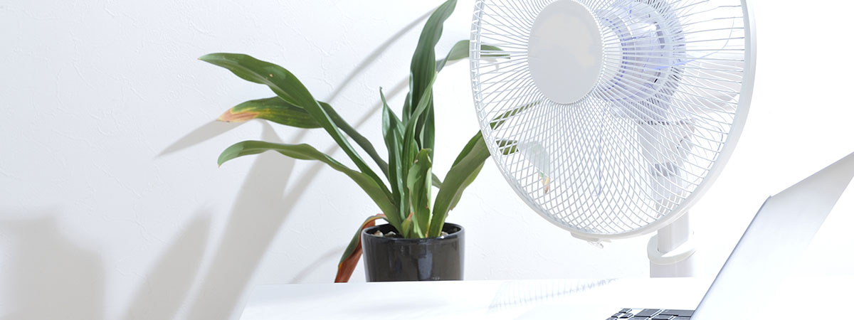 Keep Cool