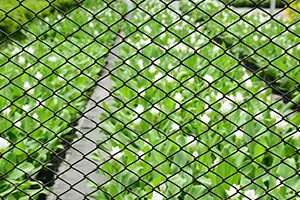 Mesh & Netting