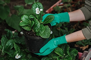 Gardening Gloves